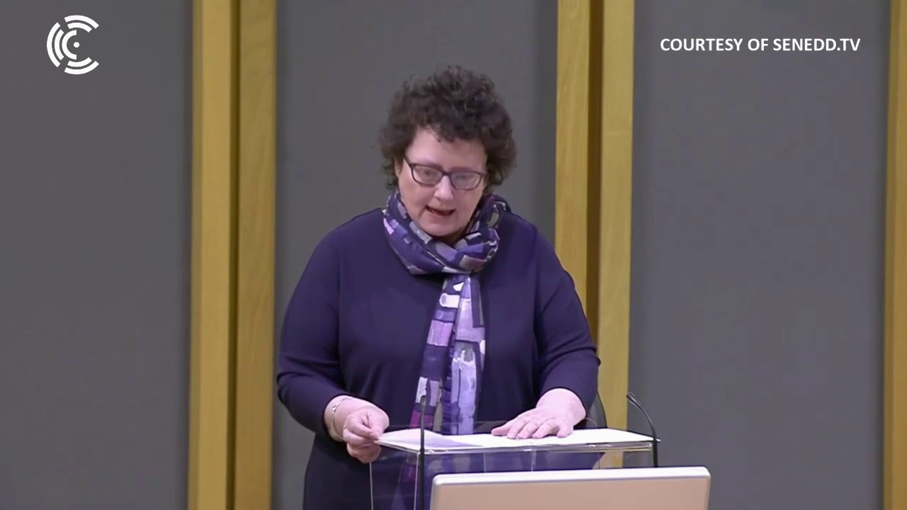 Llywydd calls for larger Senedd in speech marking 20 years of devolution
