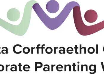 Reform of Corporate Parenting