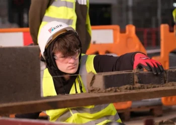 Youth Employment & NEETs