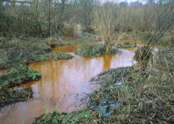 Contaminated Land