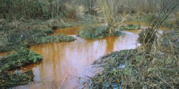 Contaminated Land